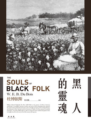 cover image of 黑人的靈魂